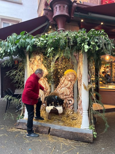 An outdoor scene in Sélestat, France, depicts a man interacting with two small dogs at a Christmas nativity display. The man, wearing a red fleece jacket, dark trousers, and dark shoes, stands on the left, bending forward with his left leg slightly raised. He holds a leash connected to a dark-furred dog wearing a blue harness, which stands atop a small wooden stool covered with a white fleece, situated within the nativity scene. A second, smaller dark-furred dog is partially visible on the straw-covered ground behind the first dog.

The nativity display features a three-panel wooden backdrop with stylized carvings of figures, including a Virgin Mary-like figure on the left and a baby Jesus with a prominent yellow halo on the right, lying on hay. The display is framed by white faux pillars and topped with a dense arrangement of green foliage and branches. Straw covers the ground within the display, with two larger wooden logs positioned horizontally in front as a barrier.

In the background, a building facade is visible, featuring a dark red awning extending over the display. To the left, a white building wall with a window is partially seen, along with dark outdoor seating. To the right, an ornate building section with a reddish-brown turret-like structure is present, alongside a shop window displaying goods and a person partially visible inside. The ground is paved, scattered with remnants of straw.