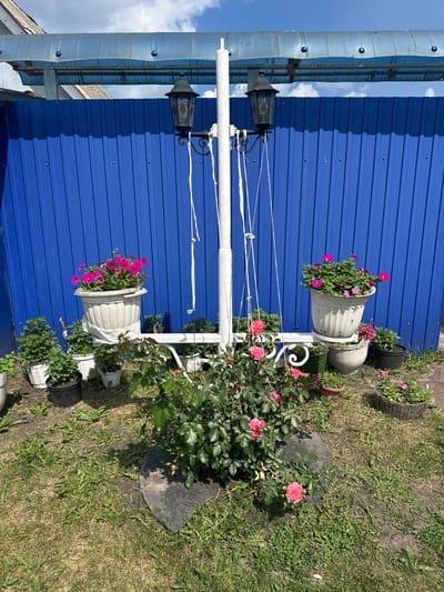 In Yazykova Pyatina, Russia, a white lamppost stands in front of a bright blue corrugated metal fence under a partly cloudy sky. Two black lantern-style lamps are attached to the lamppost, with white ropes hanging down. Several potted plants are arranged around the lamppost. A large white pot containing bright pink flowers is positioned on a white metal stand. To the left of this, smaller green plants are in black and white pots. To the right, more pots with pink and red flowers are visible. In the foreground, a bush with pink roses is planted in the ground, with a dark gray, heart-shaped object partially visible at its base. The ground is covered in green grass and some patches of dry earth. A blue corrugated roof structure is visible above the fence. There are no people in the image.