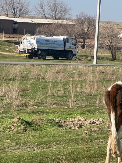 The scene depicts a rural or semi-rural landscape in Qoraobdol QFY, Uzbekistan, under a clear, bright sky. In the midground, a white multi-axle water tanker truck is visible, parked or stationary. The truck's tank is white with blue graphics, displaying text that includes "NURLI TO'L QIN" and a wave design. Equipment is affixed to the rear of the tanker. A narrow, dark asphalt road horizontally bisects the image, separating the truck's location from the foreground.
In the immediate foreground, partially visible on the bottom right, are the hindquarters of an animal, characterized by brown and white fur and a light-colored tail, consistent with an equine species such as a horse or pony. The ground in the foreground consists of green grass interspersed with patches of dry, light-brown vegetation and exposed soil.
The background behind the truck features an older, dilapidated building with a dark roof and light-colored walls on the far left. Numerous deciduous trees and shrubs, devoid of leaves, are scattered across the landscape, suggesting a late winter or early spring season. Rolling hills or elevated terrain are present in the distant background. A vertical utility pole stands on the right side of the frame, and a small, white vehicle is partially visible further in the distance on the far right, behind the bare trees. No human figures are present.