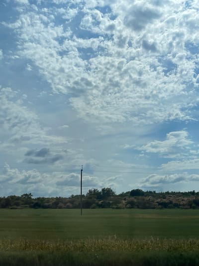 This media file is an image of a rural landscape with a focus on the sky and a field. The scene is dominated by a vast expanse of sky filled with a variety of clouds. Some are fluffy and white, appearing bright and sunlit, while others are more wispy and translucent, allowing glimpses of the blue sky behind them. There are also some darker, more ominous-looking clouds scattered throughout, suggesting potential for changing weather.
In the lower right portion of the image, a neatly mowed green field stretches out. Along the horizon, there is a dense line of trees forming a dark green border. Within this treeline, some lighter, pinkish foliage can be seen, possibly flowering shrubs or autumn leaves. A tall, thin utility pole with wires running from it is visible against the sky and the treeline, a common element in rural settings.
The image appears to be taken during the daytime, with the sun casting bright light on the clouds. The overall mood is serene and natural, evoking a sense of open space and the beauty of the sky. There are no people or animals visible in the image, and no text is present. The setting suggests a rural area, likely in the countryside, given the presence of fields, trees, and utility lines. The scene conveys a sense of tranquility and the expansive nature of the sky.