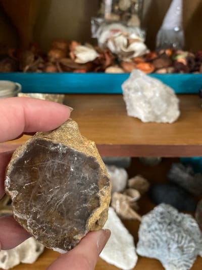 A person's hand is holding a rough, brown and grey stone with visible crystalline inclusions against a blurred background of shelves filled with decorative items and other stones. The shelf is a warm wooden tone and a vibrant turquoise border is visible on the top shelf. The background is out of focus, but suggests a home or decorative setting, possibly a curio cabinet, with various dried floral elements and other natural objects. The overall lighting is warm and diffused.