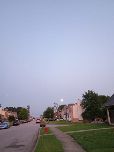 This image depicts a residential street scene in Nicholasville, Kentucky, USA, during twilight. The sky is a pale, clear blue, with a faint moon visible in the upper left quadrant. The street is asphalt, with a concrete sidewalk on the right side of the frame. Numerous parked cars are lining both sides of the street, including a blue sedan, a black SUV, and a silver SUV. Several houses with pitched roofs and some with visible chimneys are situated along the street. A red fire hydrant and a black mailbox stand near the sidewalk. Lush green grass covers the yards in front of the houses, interspersed with small white flowers. Trees are scattered throughout the scene, with some displaying dense foliage. The overall atmosphere suggests a quiet suburban evening.