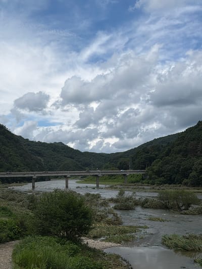 The image depicts a wide river flowing through a valley with lush green hills on either side. A long, concrete bridge spans the river, with several vehicles visible crossing it. The sky is overcast with dramatic, grey clouds interspersed with patches of blue. The river appears to be flowing with some force, carrying debris and submerged vegetation. In the foreground, the riverbank is covered in dense green foliage and smaller bushes. The overall scene suggests a natural landscape with human infrastructure integrated into it, likely in a rural or semi-rural area. The location is identified as Seo-myeon, South Korea.