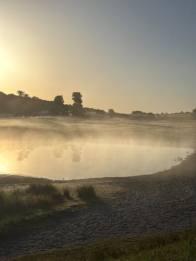 This image depicts a serene waterscape at sunrise, likely in Kongens Lyngby, Denmark. The scene is dominated by a body of water covered in a thick layer of mist, creating an ethereal and tranquil atmosphere. The rising sun casts a warm, golden glow that filters through the mist, illuminating the scene and creating soft reflections on the water's surface.
On the left side of the image, a gently sloping bank is visible, lined with trees whose silhouettes are softened by the mist. These trees appear to be deciduous, and their branches are bare, suggesting it could be spring or autumn. The mist clings to the water and the lower parts of the bank, obscuring details and adding a sense of depth and mystery.
To the right of the water is a dark, textured area, possibly a muddy bank or a rocky shore. Beyond this, a strip of vibrant green grass suggests the presence of land. The sky above is a gradient of soft blues and yellows, indicative of early morning light.
There are no people or prominent objects visible in the frame, emphasizing the natural and undisturbed beauty of the location. The overall mood is peaceful and contemplative, evoking a sense of calm and the quiet beginning of a new day. The mist suggests a cool, damp morning, typical of Denmark. No text is visible in the image.