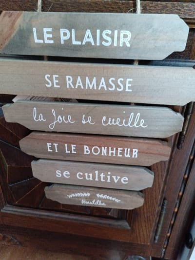 The image shows a set of five wooden signs hanging vertically. The signs are arranged one below the other and appear to be part of a decorative display. Each sign has text written on it in white lettering, and some also have decorative elements.
The first sign, at the top, reads "LE PLAISIR".
The second sign reads "SE RAMASSE".
The third sign, written in a cursive font, reads "la joie se cueille".
The fourth sign reads "ET LE BONHEUR".
The fifth and final sign reads "se cultive" and has a small decorative pattern of leaves above the word "Buddha" written in a stylized font.
The signs are hanging against a dark wooden background, possibly a piece of furniture like a cabinet or a door. The lighting suggests an indoor setting. There are no people visible in the image, and the focus is entirely on the signs and their text. The overall impression is one of a rustic or farmhouse-style decor.
The provided information states that the image is from Évreux, France. However, the image itself does not contain any visual cues that specifically place it in Évreux or any particular city. It is a generic interior scene featuring decorative wooden signs.