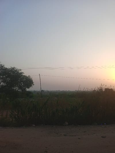 The landscape shows a ground-level view, with earth and sparse vegetation occupying the lower portion. Above, a field extends into the hazy distance. A slender pole rises vertically, and power lines stretch horizontally across the soft, bright sky. A dark tree stands to the left, contrasting with the sunlit horizon. Trash is visible in the lower foreground, possibly debris on the ground.