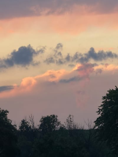 This image shows a cloudy sky over a silhouetted landscape of trees and vegetation, likely at dusk or dawn. The sky displays a gradient of colors, with hues of pink, orange, and purple. Darker, more defined clouds are visible in the upper portion of the sky, contrasting with softer, lighter clouds below. The lower part of the image is dominated by the dark shapes of trees and foliage, with some bare branches of deciduous trees visible among the denser greenery. The overall impression is a natural scene, devoid of human activity or any specific identifiable structures or landmarks that would indicate its location within Buffalo Grove, United States of America.