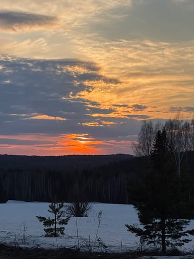 The image shows a sunset view, possibly reflected in a lake or body of water. Silhouetted trees line the right edge of the frame, obscuring the far shore. The sky is streaked with orange and yellow light behind clouds, and the sun is low on the horizon. The foreground exhibits lighter, almost white tones, which may be from snow or the reflective surface of the water. The scene appears to be in a natural environment. There is no specific information that this is located in Samolet, Russia.