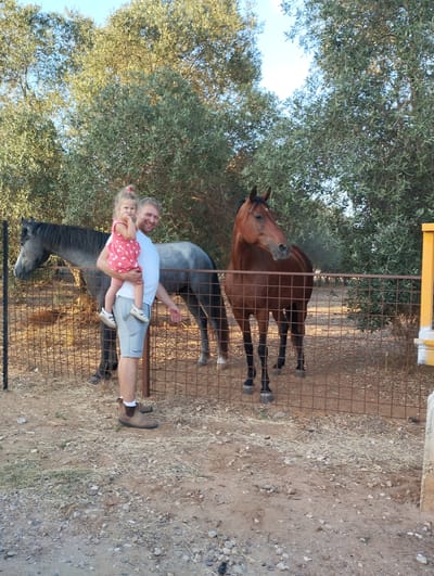 In an outdoor scene with abundant foliage, a man holds a young girl while standing in front of a metal fence. The man is wearing a white t-shirt and gray shorts, with brown boots and white socks. The girl is wearing a pink dress with white polka dots and white shoes. Behind them, two horses are visible, one dark gray and the other reddish-brown. The ground is covered with dirt, small stones, and dry grass. The trees in the background are lush and green, suggesting a warm climate. The sky is clear and blue, indicating it is daytime, likely late afternoon given the lighting. The overall atmosphere appears relaxed and joyful, with the man and girl smiling at the camera. The location is identified as Menashe Regional Council, Israel. There is no visible text in the image.