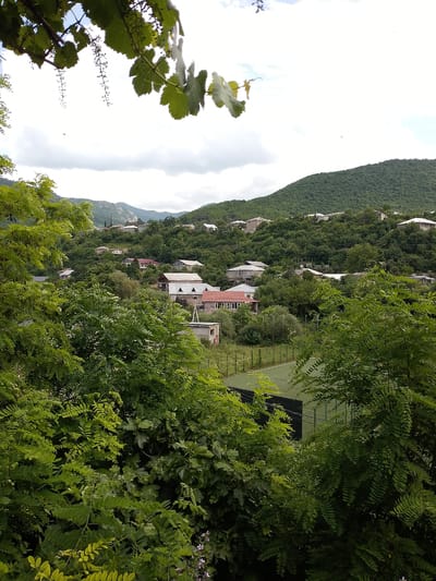 This image depicts a scenic view of a village nestled in a lush, green valley, likely in Ijevan, Armenia. The foreground is dominated by dense foliage of trees and plants, with some leaves casting shadows. In the mid-ground, a cluster of houses with red and gray tiled roofs are visible, scattered amongst the trees and on the gently sloping hillsides. One house has a distinctly red roof with visible windows. Further in the background, more houses are spread across the undulating terrain, with a backdrop of densely forested, green mountains under a cloudy sky. A dark green sports field with a soccer goal and black fencing is visible in the lower right quadrant of the image. The overall scene suggests a peaceful, rural setting. The lighting indicates it is daytime, possibly late morning or early afternoon, with an overcast sky. There are no people or explicit text visible in the image.