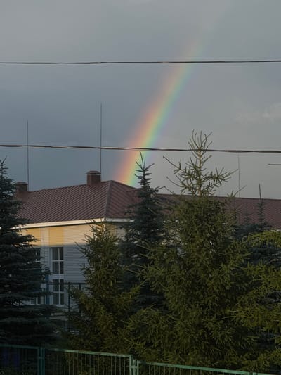 This media file depicts an outdoor scene dominated by a soft sky and the upper portions of a building and evergreen trees. A faint rainbow arcs across the left side of the frame, indicating a recent or ongoing atmospheric phenomenon, likely rain showers followed by sunshine. Several power lines or wires crisscross the sky, adding a man-made element to the natural display.

The building has a distinctive reddish-brown, sloped roof with visible horizontal lines, suggesting corrugated metal or shingles. Below the roofline, the building's facade appears to be clad in a light-colored, ribbed material, possibly metal siding. Rectangular windows are visible, some with white frames. The lower portion of the image is filled with the dense, dark green foliage of evergreen trees, some of which appear to be coniferous, like spruce or fir. To the far right, a section of a green metal fence or grate is visible.

The lighting suggests it is either early morning or late afternoon, with the sun casting a warm, yellow light on the side of the building, especially towards the right. The overall mood is serene, with the rainbow adding a touch of wonder to the otherwise ordinary scene. There are no people visible in the image. The setting appears to be a somewhat urban or suburban environment, given the presence of the building and power lines, contrasted with the natural element of the trees and rainbow. No visible text is present.