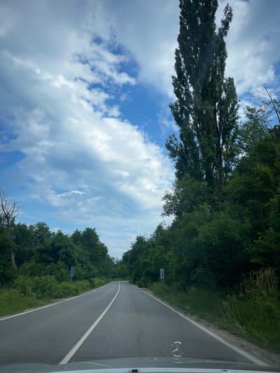 This is a photograph taken from the perspective of a driver looking out over a road in Komarevo, Bulgaria. The road is paved and has a white line marking the center. It curves slightly to the right and is bordered by lush green trees and vegetation on either side. The sky is partly cloudy with a mix of blue sky and white clouds. A tall, slender tree stands prominently on the right side of the road, reaching towards the sky. The hood of a Mercedes-Benz vehicle is visible in the foreground, indicating the vantage point of the shot. There are no people or animals visible in the image. The overall scene depicts a rural road in a natural, wooded environment.