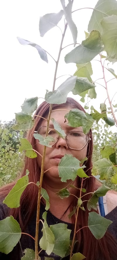 A person with reddish-brown hair and glasses peers through a young tree with green leaves. The person is wearing a dark shirt. The background consists of foliage and a cloudy sky. The image was taken in Январцев ауылдық округі, Kazakhstan.