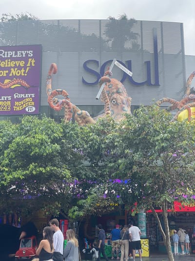 The image shows the exterior of the Ripley's Believe It or Not! museum and the Soul Boardwalk building in Surfers Paradise, Australia. The Ripley's building features a large purple sign with yellow text that reads "RIPLEY'S Believe It or Not!". Adjacent to it, a large, inflatable or fabric octopus sculpture is prominently displayed, with its tentacles wrapped around the building. The Soul building has large blue letters spelling out "SOUL" across its facade, with a street sign for "CAVILL AV" visible near the octopus. In the foreground, a dense canopy of green trees partially obscures the view of the buildings. Beneath the trees, people are gathered. To the left, a small red car with a license plate reading "PEEL" is visible. Several individuals are standing and interacting, with some looking at displays or walking. The overall impression is a lively street scene in a tourist area, characterized by prominent signage, quirky attractions, and pedestrian activity under the cover of trees.