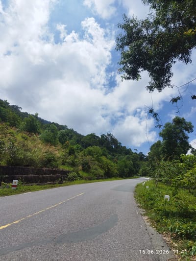 The image depicts a curved asphalt road winding through a lush, green, mountainous landscape. The road has a yellow dashed line marking the center and a white solid line on the right side. Vegetation, including trees and tall grass, lines the sides of the road. On the left, a retaining wall made of dark stones supports a grassy incline covered in dense foliage. A white and red marker post is visible on the left side of the road.

The sky is partly cloudy with patches of blue sky visible. A large tree with dark green leaves branches into the upper right corner of the frame. Several small white marker posts are visible along the right side of the road as it curves into the distance.

The timestamp "16.06.2026 11:41" is visible in the lower right corner of the image.

Given the visual elements and the timestamp, this scene likely captures a scenic route in the Kampot province of Cambodia, known for its mountainous terrain and tropical vegetation. The road appears to be a secondary road, possibly leading to or from a natural attraction or a rural area within the province. No people are present in the image.