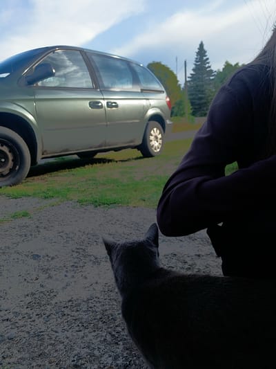 A gray cat is in the foreground facing away from the camera, with its back and tail visible. To the right and behind the cat, a person wearing a dark-colored long-sleeved shirt is crouched down, with their arms visible. In the mid-ground, a light green minivan is parked on a gravel and grass area. The background consists of trees and a cloudy sky. The setting appears to be outdoors, possibly in a rural area or the outskirts of a settlement, consistent with the location of Ліпаўскі сельскі Савет, Belarus.
