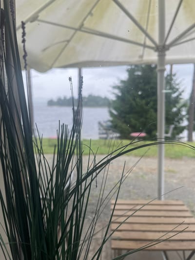 The media file displays a close-up view through a window, with a bouquet of long, green grass-like artificial plants in the foreground. These plants are slightly out of focus, with some exhibiting small, dark beads attached along their lengths. The window reveals a scene beyond, including a large, off-white umbrella structure on the left, its spokes visible.
In the mid-ground, a body of water, likely a lake or river, is visible under a cloudy sky, suggesting overcast or rainy weather. Trees line the far bank of the water. To the right of the water, a wooden slatted surface, resembling a table or bench, is partially visible. The overall impression is one of a sheltered outdoor seating area, possibly a cafe or restaurant, overlooking a natural landscape.
The perspective is from inside looking out, with the window pane itself showing some smudges and possibly water droplets. The lighting is diffused, consistent with an overcast day. The scene appears calm and serene. There is no visible text in the image.
