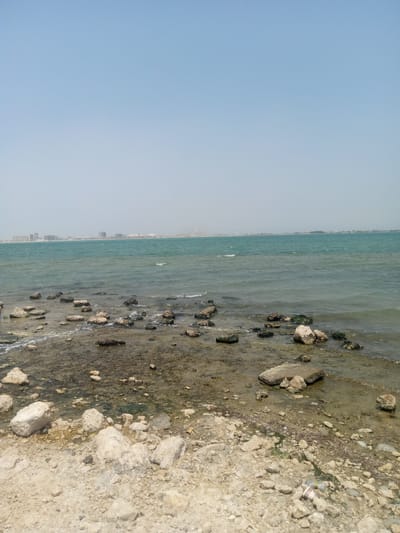 The image captures a shoreline in Al `Aziziyah, Saudi Arabia, under a clear, pale blue sky. The sea is calm with gentle waves. In the distance are buildings and industrial structures visible on the horizon. The foreground consists of a rocky beach with various sizes of rocks and some seaweed. The sand is light-colored and coarse. There is some litter visible. No people are present.