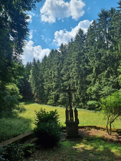 This media file depicts a scenic outdoor setting in Dahn, Germany. The primary subjects are a stone crucifix with figures, situated amidst a lush green landscape. Towering pine trees form a dense forest bordering a sunlit grassy area. The sky above is a vibrant blue, dotted with fluffy white clouds, suggesting fair weather. The lighting indicates it is daytime, likely late morning or early afternoon, with sunlight casting distinct shadows. The overall mood is serene and contemplative, emphasizing the natural beauty of the location and the presence of the religious monument. There is no visible text in the image.