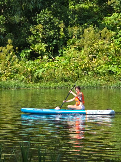 A young person, wearing an orange life vest and patterned shorts, is seated on a blue and white paddleboard in a calm body of water. They are holding a paddle, with the blade submerged in the water to the right of the board, and appear to be looking towards the camera. The paddleboard has the branding "ITIWIT" visible on its side. The water reflects the surrounding environment, which consists of lush green vegetation and trees lining the distant shore. The vegetation is dense and varied, with some plants appearing larger and with broad leaves, interspersed with smaller leafy bushes and some seed heads. The overall scene suggests an outdoor recreational activity on a sunny day. The specific location in the city of Voinskaya Chast' Mchs, Russia, cannot be determined from the visual information alone.