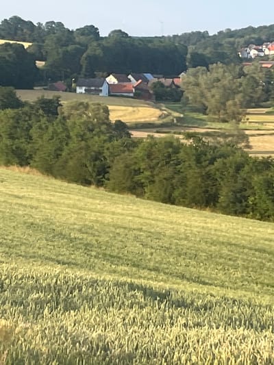 This image shows a pastoral landscape in Momberg, Germany. The scene is dominated by a grassy field on the right, appearing to be a cultivated crop like wheat or barley, with distinct rows visible. To the left, a dense green forest runs along a hillside, partially obscuring a small village nestled amongst the trees. The village consists of several houses with red and white roofs, suggesting traditional European architecture. The time of day appears to be daytime, likely late afternoon given the warm, golden light illuminating the grassy field and casting shadows that accentuate the texture of the crop. The weather seems clear and fair. The overall impression is one of rural tranquility and natural beauty, with human habitation integrated harmoniously with the landscape. There is no visible text in the image.
