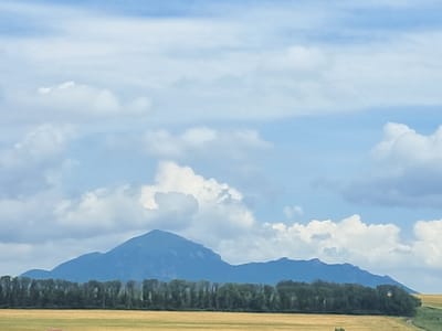 The image depicts a panoramic view of a landscape with a prominent mountain range in the background. The sky is partly cloudy with scattered white clouds against a blue sky. In the mid-ground, a dense line of dark green trees forms a distinct horizon. In the foreground, a field of golden-brown vegetation, likely harvested wheat or hay, stretches across the frame. The overall impression is one of natural scenery under a bright, partly cloudy sky. There are no people or man-made structures immediately visible in the provided crops, aside from a hint of a road or path at the far right. The location is identified as Yutsa, Russia.