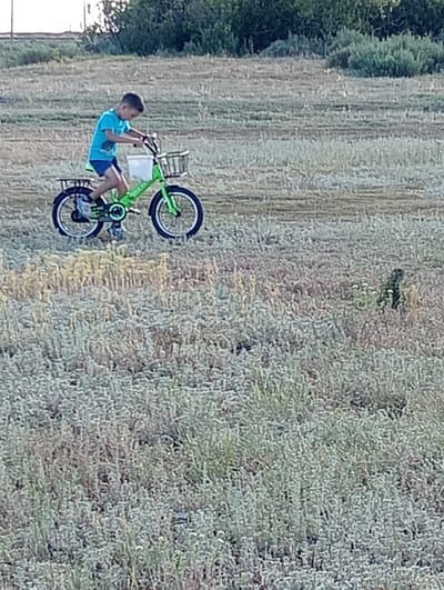 A young boy is riding a bright green bicycle with baskets on the front and back through a grassy field. He is wearing a blue t-shirt and dark shorts. The field is covered in dry, light-colored grass and some scattered green vegetation. In the background, there is a line of trees and bushes, with a hint of a structure behind them. The sky is not visible. The scene appears to be in a rural or semi-rural area, possibly on the outskirts of Октябрьское, Kazakhstan.