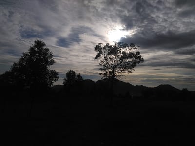 The image depicts a natural landscape scene located in the city of Røros, Norway, captured during either dawn or dusk. The upper half of the frame is occupied by a cloudy sky, featuring a bright, obscured light source (consistent with the sun) positioned towards the upper right, casting strong backlighting across the scene. Clouds range from bright white and light grey near the source to darker grey and bluish tones elsewhere, displaying cirriform and stratocumulus characteristics.
The midground and foreground are primarily rendered in silhouette. A prominent deciduous tree stands slightly right of center, its branches and foliage dark against the illuminated sky, with some individual leaves visible where the backlighting penetrates. To the left, a taller, denser deciduous tree is also visible in silhouette. Multiple other trees and dense foliage are present in the deeper midground, forming a dark, undulating line. The background features a range of dark, silhouetted hills or mountains extending horizontally across the frame, merging with the shadowed midground. The immediate foreground is an undifferentiated dark expanse of ground cover. No individuals, animals, man-made objects, or discernible actions or interactions are present in the scene. The overall lighting conditions create a high-contrast image, emphasizing the silhouettes against the bright, cloudy sky.