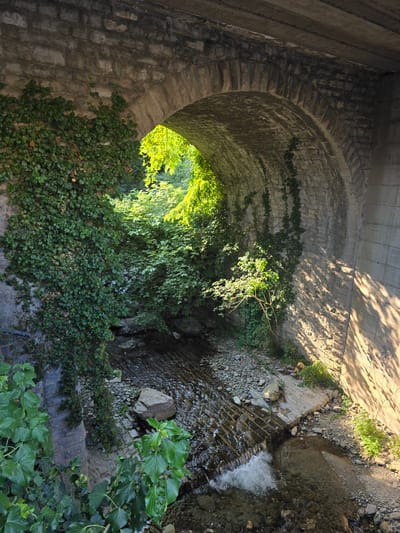 A downward view captures the underside of a stone archway, possibly a bridge, overgrown with lush green ivy. Sunlight filters through the leaves of trees visible beyond the arch, casting dappled shadows on the stone and concrete structure above. To the right, a small stream flows over rough-hewn stones and appears to cascade down a series of steps, creating a frothy white patch of water. The stream bed is filled with a mixture of small pebbles and larger rocks, with more ivy clinging to the bank. The overall impression is one of a natural, somewhat wild setting integrated with man-made construction, bathed in the warm light of what appears to be late afternoon or early morning. There is no text visible in the image.