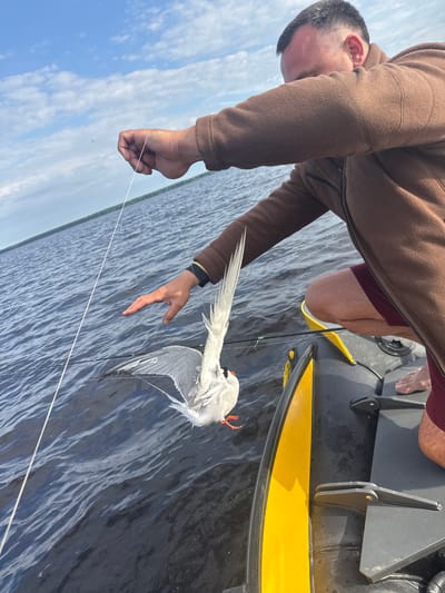 A man, wearing a brown fleece jacket and maroon shorts, kneels in a yellow and black inflatable boat on a dark body of water. He holds a fishing line in his right hand, which is attached to a white bird with orange feet. The bird is suspended in the air, its wings spread. The sky is blue with scattered white clouds. The boat appears to be on a lake or river in Gorlovo, Russia.