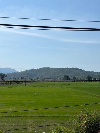 The image shows a rural landscape with a vibrant green rice paddy field in the foreground. In the background, a lush, tree-covered hill rises under a clear blue sky with thin white clouds. A few power lines stretch horizontally across the frame, partially obscuring the view of the landscape. The scene appears peaceful and natural, typical of the countryside. The location is identified as Tan Dinh, Vietnam, suggesting a scene of agricultural beauty in that region.