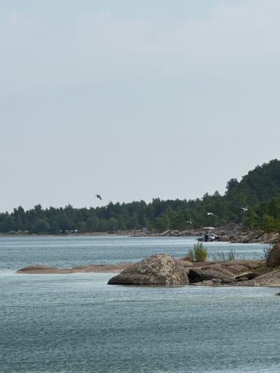 The image shows a calm body of water with several large rocks and a sandy patch in the foreground. A lush green forest lines the background, with a few small structures visible within the trees. Several birds are in flight over the water and near the shore. A small boat is docked near the rocky coastline. The sky is overcast and light. The scene depicts a natural coastal environment.
