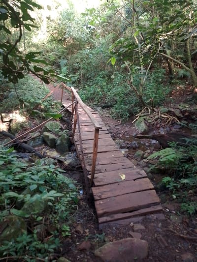 The image shows a wooden bridge crossing a small stream within a dense, green forested area. The bridge is made of planks laid across supports, with simple wooden handrails on either side. The surrounding vegetation is lush and includes ferns, various leafy plants, trees, and a few rocks. The forest appears to be shaded, with sunlight filtering through the tree canopy. The water in the stream is flowing over rocks and pebbles. The location is Villarrica, Paraguay. No people or animals are visible. The general environment seems to be a natural setting, possibly a park or nature reserve.
