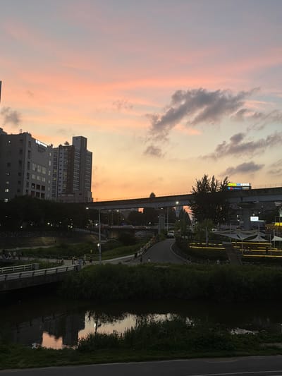 This media file captures a sunset scene in Uijeongbu-si, South Korea. The sky displays a gradient of soft pinks and oranges, with wispy grey clouds. In the foreground, several tall buildings are visible, some with illuminated windows, indicating the transition from day to evening. A tree with dark foliage stands between the buildings and a road.
A winding road runs alongside a waterway, bordered by dense green grass and trees. The water reflects the colors of the sunset and the surrounding structures. Along the road, streetlights and decorative yellow lights cast a warm glow. Some people can be seen walking or cycling near the waterway, suggesting a park or recreational area. An elevated structure, possibly a bridge or an overpass, runs across the scene.
Visible text on a sign on one of the buildings reads "BOS-FOREX" in blue and white letters, and another sign above it has Korean characters. The overall atmosphere is serene and peaceful, with the soft light of dusk creating a tranquil mood. The time of day is clearly sunset, and the weather appears to be clear with some cloud cover. The scene is urban, with modern buildings and infrastructure alongside natural elements like the waterway and greenery.