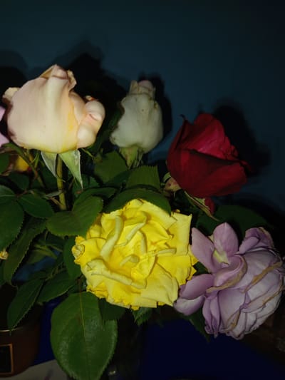 A bouquet of roses is displayed against a dark blue background. The bouquet consists of five roses of varying colors: one pale pink, one white, one deep red, one vibrant yellow, and one lavender-pink. The pale pink rose is on the left, slightly open. To its right is a white rose, also partially open. The red rose is on the right side of the bouquet, its petals tightly furled. The yellow rose is in the center, fully bloomed with layered petals. The lavender-pink rose is on the bottom right, appearing slightly wilted with delicate, layered petals. Green leaves are interspersed throughout the bouquet, with thorny stems visible. In the lower left corner, a portion of a brown cylindrical object, possibly a candle holder, is visible. The scene is dimly lit, with shadows cast on the background, suggesting an indoor setting. The location in Чэрвеньскі сельскі Савет, Belarus, is not visually discernible from the image itself.