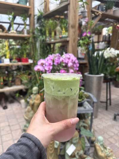 A hand holds a plastic cup containing a layered drink with a green matcha-like top layer and a light tan bottom layer. The setting appears to be an outdoor space, possibly a nursery or garden center in Davie, Florida, United States, evident from the flora and structural elements in the background. A wooden structure with plants on shelves is visible, along with purple orchids. The background is busy with various plants and pots.
