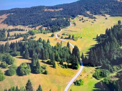 The image shows an aerial view of a rural landscape. A winding paved road cuts through grassy fields and forested areas. The fields are primarily green and yellow. The forests consist of dark green trees. In the background, a mountain range is visible, covered with dense forest. The scene appears to be devoid of people. The location cannot be determined from the image to be in Basingstoke and Deane, United Kingdom.