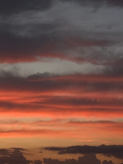 The image is a vertical, close-up shot of a dramatic sunset sky. The sky is filled with layered clouds, exhibiting a gradient of colors from dark gray at the top to vibrant orange and pink hues in the middle, fading into a lighter orange at the bottom. The clouds are streaked and textured, creating horizontal patterns. There is a small, dark object, possibly a bird or a distant aircraft, visible in the upper left quadrant of the image. The scene is devoid of any discernable city landmarks or references to Novy, Russia.