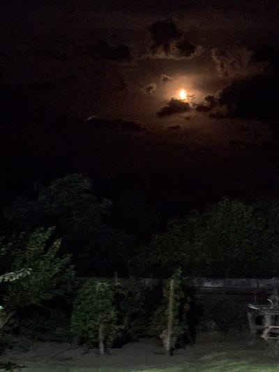 The image depicts a nighttime scene in Serhiivka, Ukraine. A bright, possibly full, moon is visible through dark, cloudy skies, casting a warm, diffused light. In the foreground, silhouetted trees and foliage create a dense, dark canopy. A low, possibly brick, wall runs horizontally across the mid-ground, with what appears to be garden furniture or debris visible to the right. The ground in the lower portion of the image is a darker, granular texture, possibly soil or asphalt. The overall atmosphere is dark and slightly hazy, with the moon being the primary source of light.