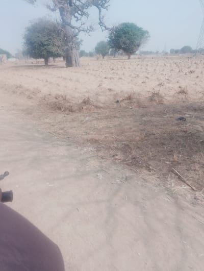 This image depicts a dry, rural landscape in Kanwa, Nigeria, viewed from a low perspective, likely from a moving or stationary vehicle. The immediate foreground features a section of a human leg clad in dark trousers and a dark handlebar grip, indicating the observer's position. The ground is primarily light-colored, dry, unpaved dirt, possibly a road or track, with scattered dry plant debris.
The midground is dominated by expansive, dry, cultivated fields with visible stubble and sparse, desiccated vegetation, suggesting a dry season or post-harvest period. Several trees are scattered across this area: a prominent, large baobab tree with a thick, gnarled trunk and sparse branches is visible on the left, alongside other smaller trees, some with denser green foliage.
The background extends into a hazy, light-colored sky, possibly indicative of dust or atmospheric conditions. More dry fields and distant trees are visible. A tall, metallic power line tower (pylon) is discernable on the far right horizon, signifying distant infrastructure. No other human figures or overt actions are present in the observable scene.