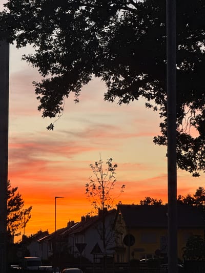The image shows a vibrant sunset in Bruchköbel, Germany, framed by dark silhouettes of tree branches in the foreground. Two vertical structures (possibly street lamp posts or building supports) partially obscure the view. The sky is colored with shades of orange, yellow, and pink, indicating sunset. In the background, rooftops of houses and buildings are visible, adding a sense of urban environment. A street lamp is also discernible against the sky. A few vehicles are parked alongside the street.
