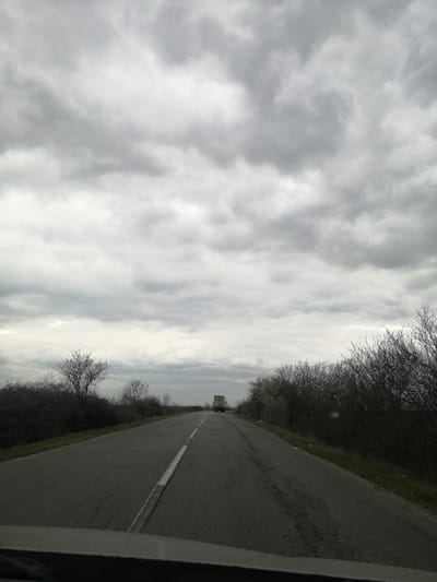 The image depicts a straight, asphalt road extending into the distance under an overcast sky, approximately near Razdelna, Bulgaria. The perspective is from a low vantage point, likely from inside a vehicle, with the upper edge of a dashboard or hood visible at the bottom of the frame. The road features a continuous white lane marking on the left side. Both sides of the road are lined with dense, leafless bushes and sparse, bare trees, characteristic of a colder season. In the far distance, a light-colored truck, appearing to be a box-trailer type, is visible on the road, receding from the camera's position. The sky is uniformly covered with thick, grey clouds, indicating an overcast day.