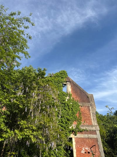 The image shows an upward angle of a brick building partially covered in ivy and other vegetation. The sky is visible in the background with wispy clouds. A single, small, dark object is present in the sky, likely a bird or insect. The building appears to be aged and possibly abandoned. The photograph does not contain any information that indicates the location is in the city of Tsanbaikwara, Abkhazia, nor does it mention or indicate any people, subjects, actions, or interactions.