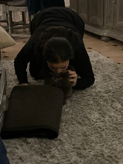 A person in black pets a gray cat on a gray shag rug. They kneel on the rug next to a folded dark mat, possibly yoga or exercise mat. A portion of the room is seen, including a wooden dresser, chair, and beige pillow. The lighting is soft, and the view is from overhead.