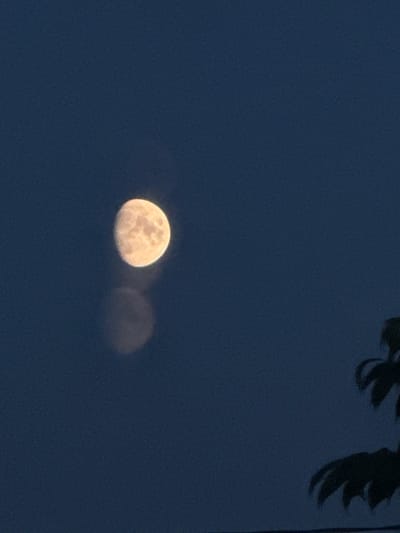 The image depicts a full moon against a dark blue night sky. The moon is bright and yellowish-white with visible craters and surface details. To the right of the main moon, a fainter, more diffused lunar image is present, suggesting either a second celestial body, atmospheric distortion, or a photographic effect. In the upper right corner of the frame, dark silhouettes of palm fronds or similar foliage are visible, hinting at a tropical or subtropical location, though this contradicts the provided location context of Beryozovsky, Russia. The overall scene evokes a sense of nighttime tranquility, with the moon being the dominant subject. No people or visible text are present in the image.