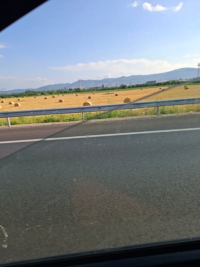 A field with many round hay bales is visible under a clear blue sky with a few white clouds. The field is golden yellow and appears to be harvested. In the background, there are rolling hills or mountains, some trees, and utility poles. In the foreground, there is a gray asphalt road with a white line. A metal guardrail separates the road from the field. The image seems to have been taken from a moving vehicle. This scene is consistent with the agricultural landscapes found in Gorni Bogrov, Bulgaria, particularly during the haymaking season.