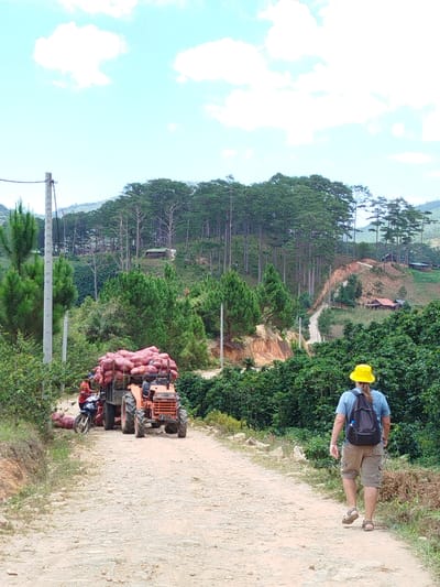 In the city of Lac Duong, Vietnam, a tractor is loaded with large sacks of what appear to be harvested produce, possibly red onions or potatoes, and is moving along a dirt road. A motorcycle with two individuals is positioned beside the tractor, also appearing to be involved in the harvest or transportation. In the foreground, a person wearing a yellow hat, a blue t-shirt, and khaki shorts with a backpack is walking away from the camera, heading down the dirt road. The background features lush green vegetation, including pine trees and bushes, with hills and some scattered houses visible further up the slope. The sky is bright with scattered white clouds.
