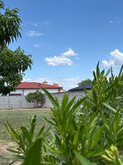 The image depicts a residential scene in Dragor, Bulgaria, on a sunny day with scattered clouds. The view is framed by green foliage in the foreground, obscuring parts of the scene. A building with a red-tiled roof and white walls stands behind a gray brick wall, with a small tree growing nearby. Another building with a dark-colored roof is partially visible further back. The sky is blue with small, white clouds. No people are visible in the image.