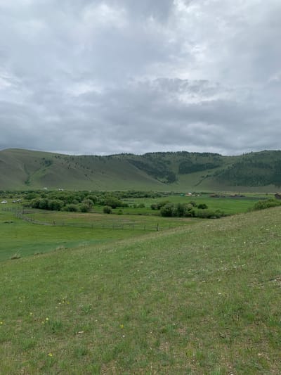 An overcast day in Khurai-Nur, Russia, features a wide, undulating green meadow in the foreground, dotted with small yellow wildflowers. A rustic wooden fence divides the meadow, curving into the middle ground. Beyond the fence, a cluster of green trees forms a dense thicket, interspersed with several small, traditional wooden houses with dark roofs. In the distance, rolling hills covered in lush green grass and scattered pine trees rise up, their slopes sculpted by shadows. The sky is a uniform grey, heavy with clouds, casting a muted light over the entire landscape. A few vehicles and a small group of people are visible near the edge of the treeline, suggesting a rural settlement or gathering. The scene is peaceful and serene, evoking a sense of quiet rural life.
