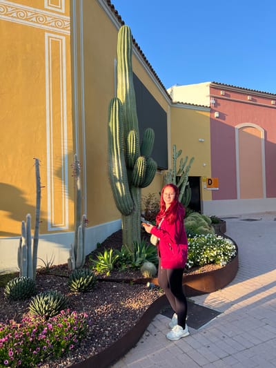 An outdoor scene in Marratxí, Spain, depicts a young adult female positioned centrally, smiling towards the viewer. She has reddish-pink hair, wears glasses, a magenta hooded jacket, black leggings, and white athletic shoes. A light-colored smartphone is held in her right hand, and a white shoulder bag is worn across her body. She stands on a light-colored paver walkway, adjacent to a raised garden bed filled with dark gravel and edged with rusted metal. The garden features a prominent, tall, multi-branched columnar cactus, several smaller columnar cacti including fuzzy white varieties, various succulents such as agave and round cacti, and flowering groundcover with purple and white blooms. Behind the garden is a bright yellow building with white architectural framing and scrollwork, along with a dark rectangular screen. To the right, another building section displays pale yellow and dusty rose facades, featuring an arched recess and a visible 'D' sign. The clear blue sky and prominent shadows indicate direct sunlight.